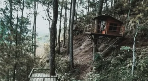 Omah Kayu: Sebuah Destinasi yang Menarik untuk Bersantai