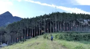 Keajaiban Karacak Valley: Mengungkap Daya Tarik, Rute Lokasi, dan Aktivitasnya