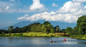 Situ Bojongsari: Keajaiban Alam di Tengah Kota