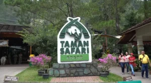 Menjelajahi Keajaiban Taman Safari Bogor