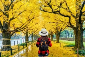 Tips Traveling dengan Anggaran Terbatas