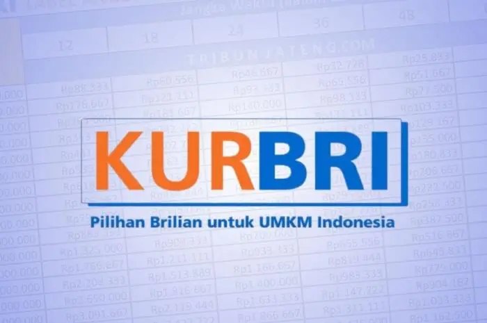 Pinjaman KUR BRI