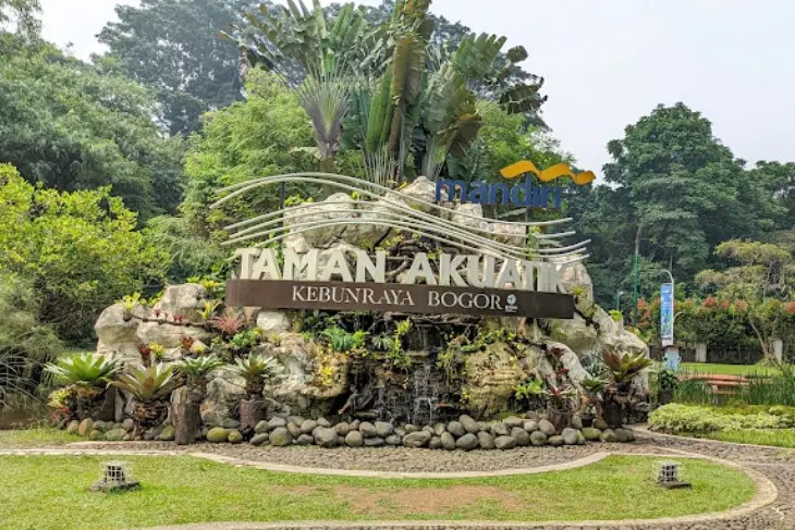 Kebun Raya Bogor: Aktivitas Menarik