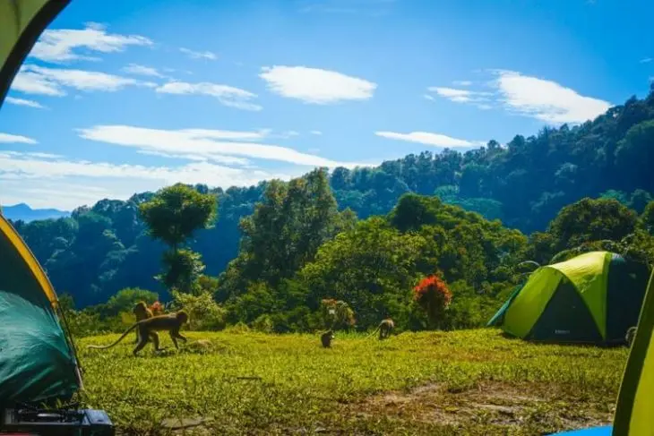 Campground Sukamantri - Tempat Tenang untuk Berkemah di Lembah Gunung Salak