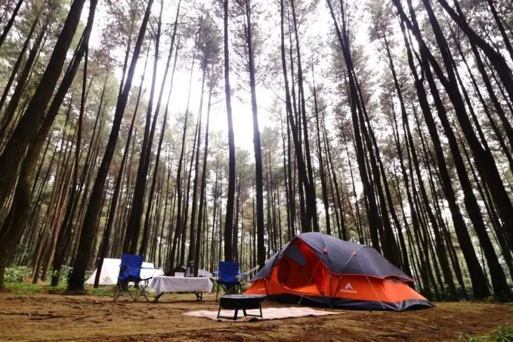Tempat Camping di Bogor yang Terkenal: Liburan Seru dan Menyatu dengan Alam