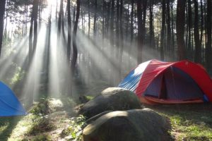 Tempat Camping di Sentul: Liburan Seru dengan Alam Asri dan Edukatif