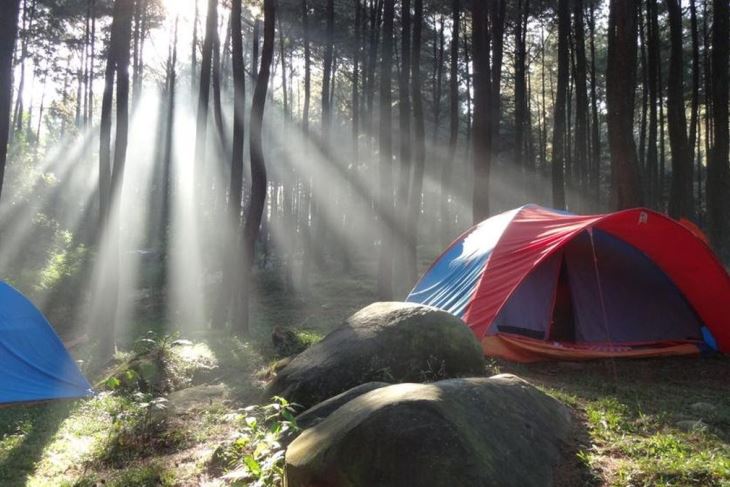 Tempat Camping di Sentul: Liburan Seru dengan Alam Asri dan Edukatif