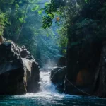 Curug di Sentul yang Terindah: Pesona Air Jernih dan Alam Asri Dekat Jakarta