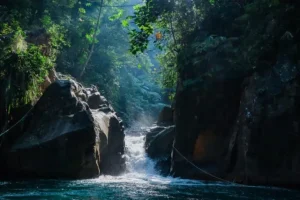 Curug di Sentul yang Terindah: Pesona Air Jernih dan Alam Asri Dekat Jakarta