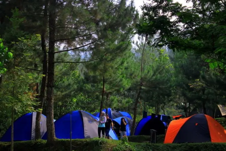 Griya Sawah Lega - Camping Tenang di Tengah Sawah dan Alam Pedesaan