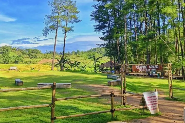 Hutan Hujan Sentul - Tempat Healing Alami dan Estetik
