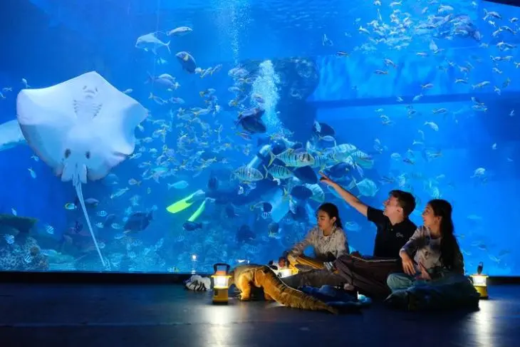 Jakarta Aquarium & Safari - Safari Indoor Modern di Tengah Kota