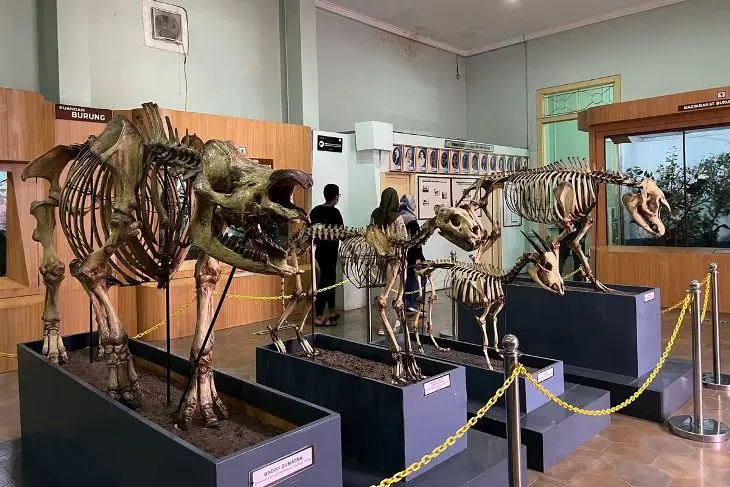Tempat Wisata Dekat Stasiun Bogor Museum Zoologi - Eksplorasi Dunia Satwa dari Masa ke Masa