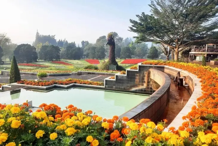 Taman Bunga Nusantara - Surga Pecinta Bunga dan Fotografi