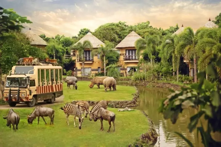 Taman Safari Indonesia - Petualangan Seru Bareng Satwa