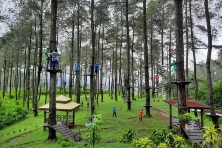 Taman Wisata Alam Gunung Pancar - Eksplorasi Hutan Pinus dan Air Panas