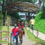 The Ranch Puncak: Wisata Keluarga Ramah Anak di Tengah Sejuknya Alam Puncak Bogor