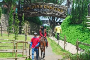 The Ranch Puncak: Wisata Keluarga Ramah Anak di Tengah Sejuknya Alam Puncak Bogor