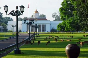 Tempat Wisata Dekat Stasiun Bogor: Cocok untuk Liburan Singkat & Seru di Akhir Pekan!