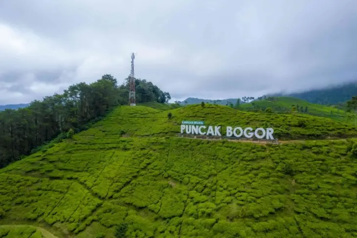 Tempat Wisata di Puncak Bogor yang Lagi Hits: Liburan Keluarga, Healing, dan Petualangan Seru!